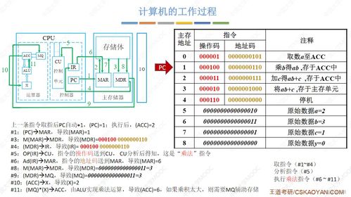 计算机系统服务 从硬件执行到用户价值的桥梁